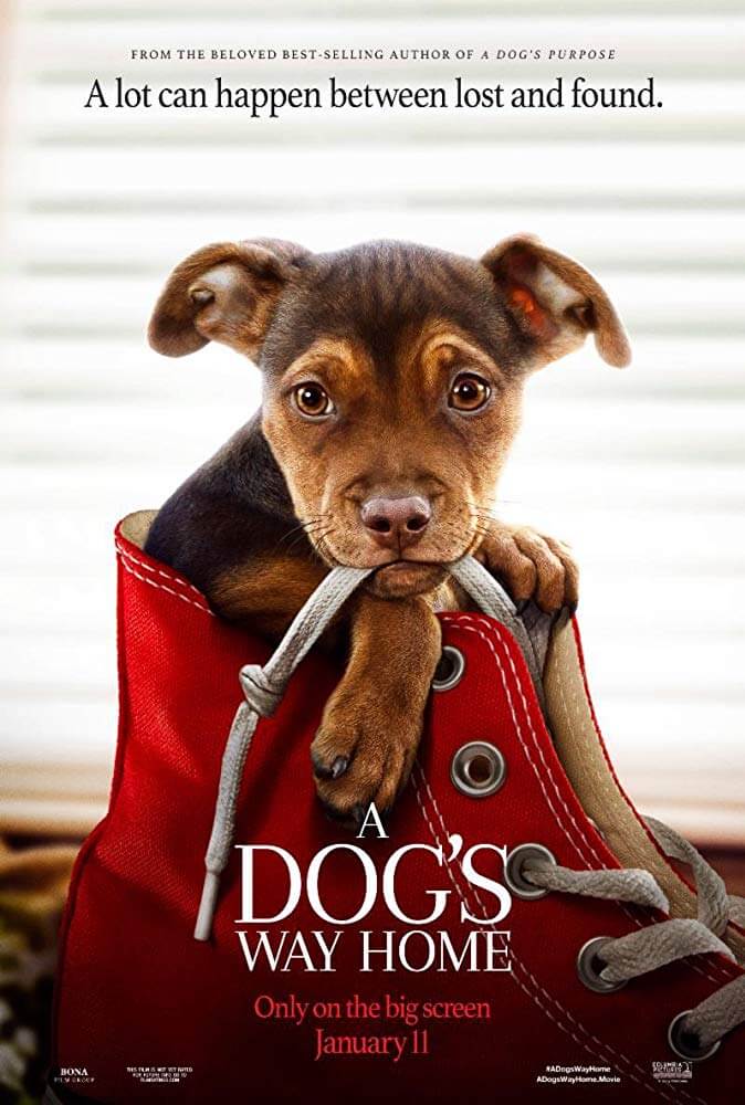 Poster phim Đường Về Nhà Của Cún Con (A Dog's Way Home)