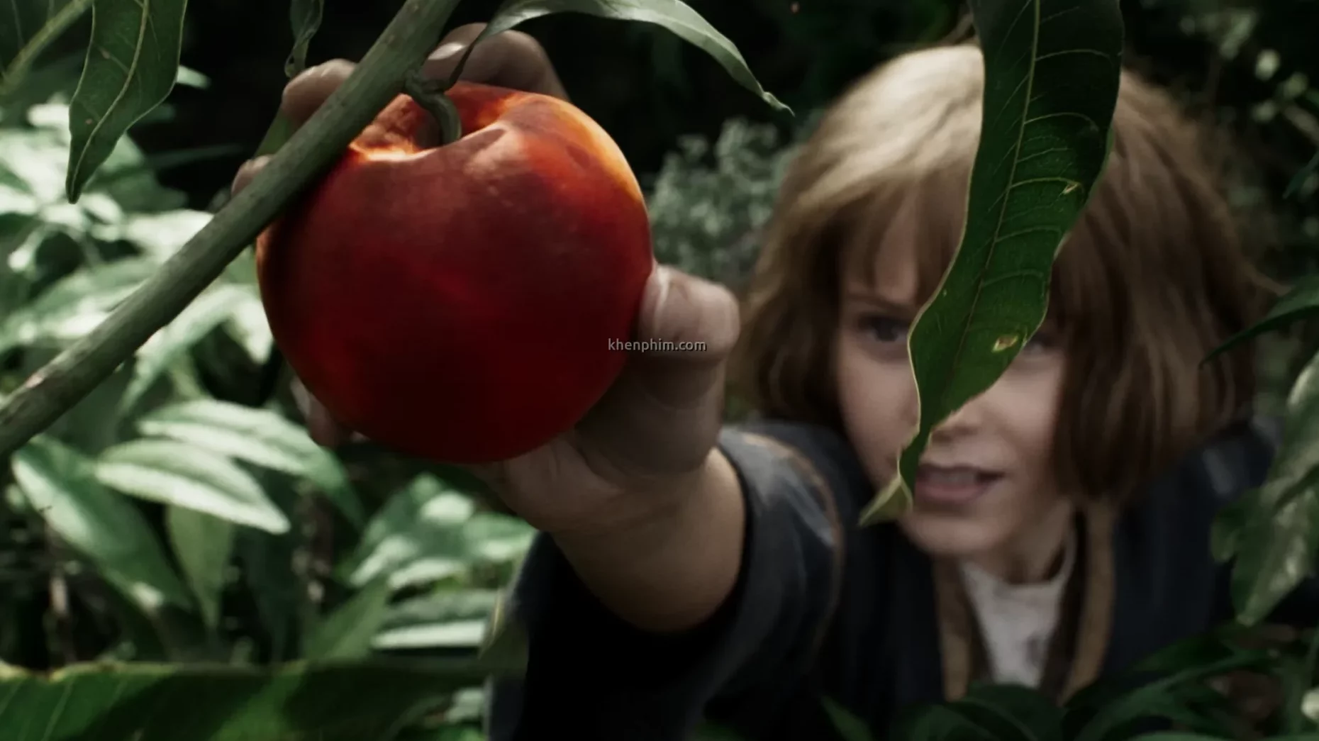 Furiosa lúc nhỏ hái táo. Trái táo này ở đầu phim nhìn ngon, nhưng cuối phim thì khác...